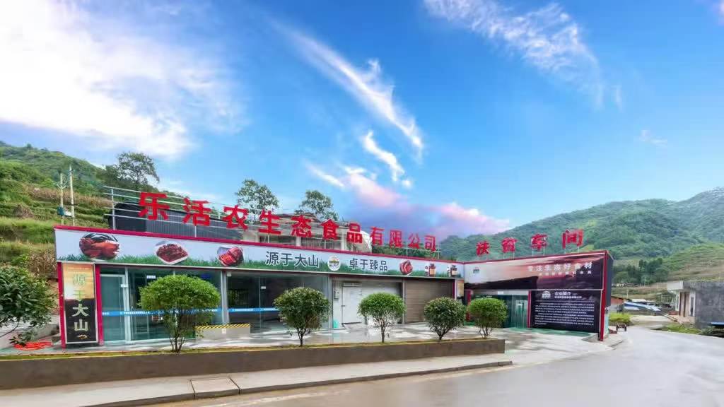古蔺“跑山猪”成“网红” 网友催促：上链接！(图5)