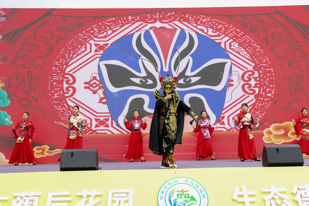 古蔺:乌蒙梯田庆丰年 产业铺就富民路(图4) 古蔺:乌蒙梯田庆丰年 产业铺就富民路(图4)